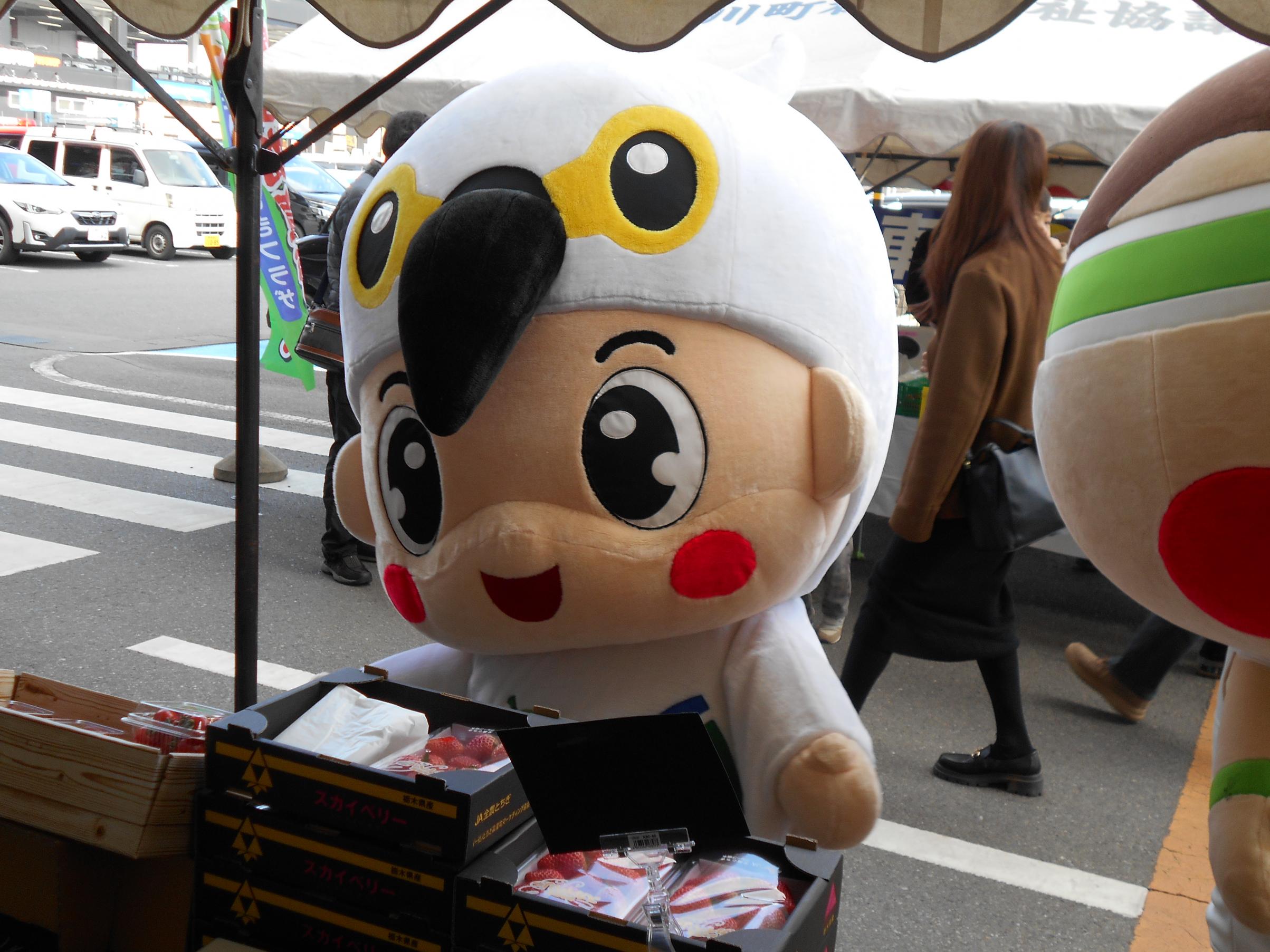 かみマル大収穫祭 かみマル大収穫祭