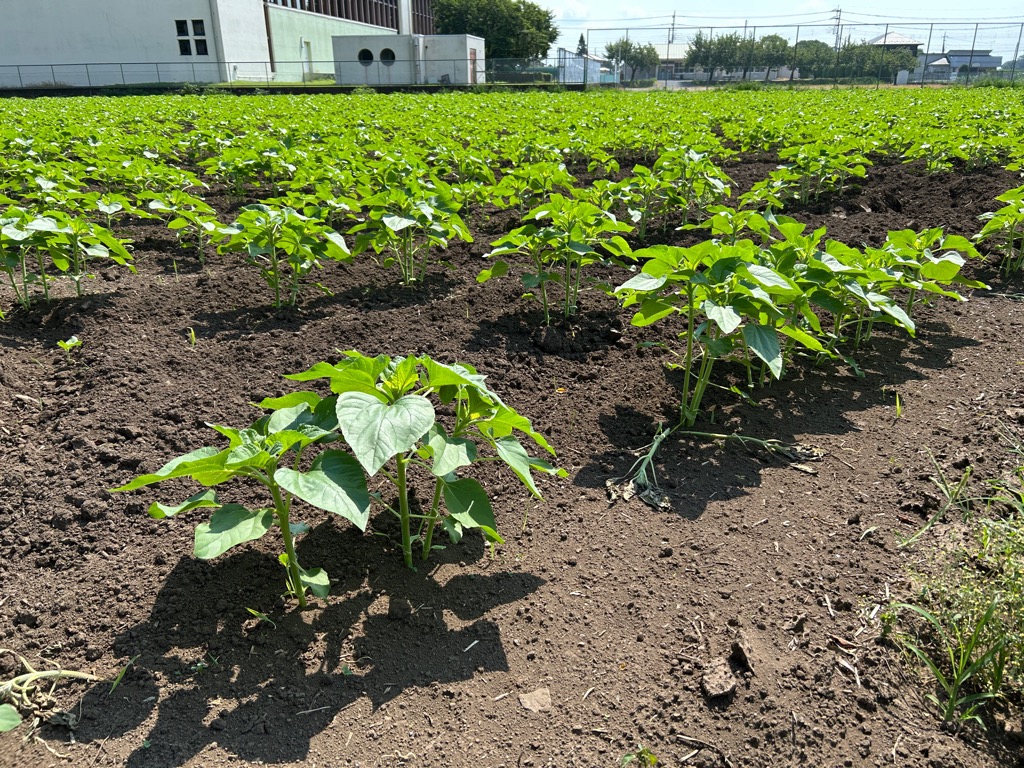 photo_20250725-095937_5