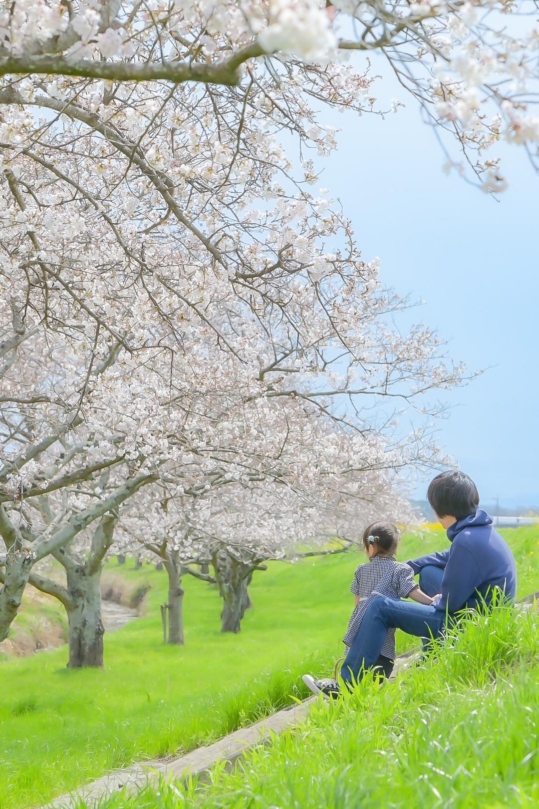 大賞19_1 大賞19_1