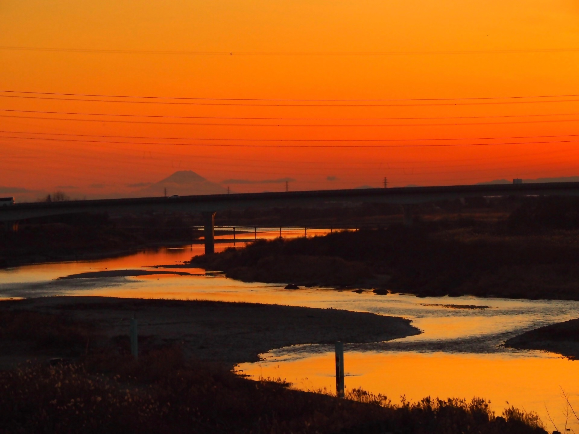 準大賞(秋山)50_1 準大賞(秋山)50_1