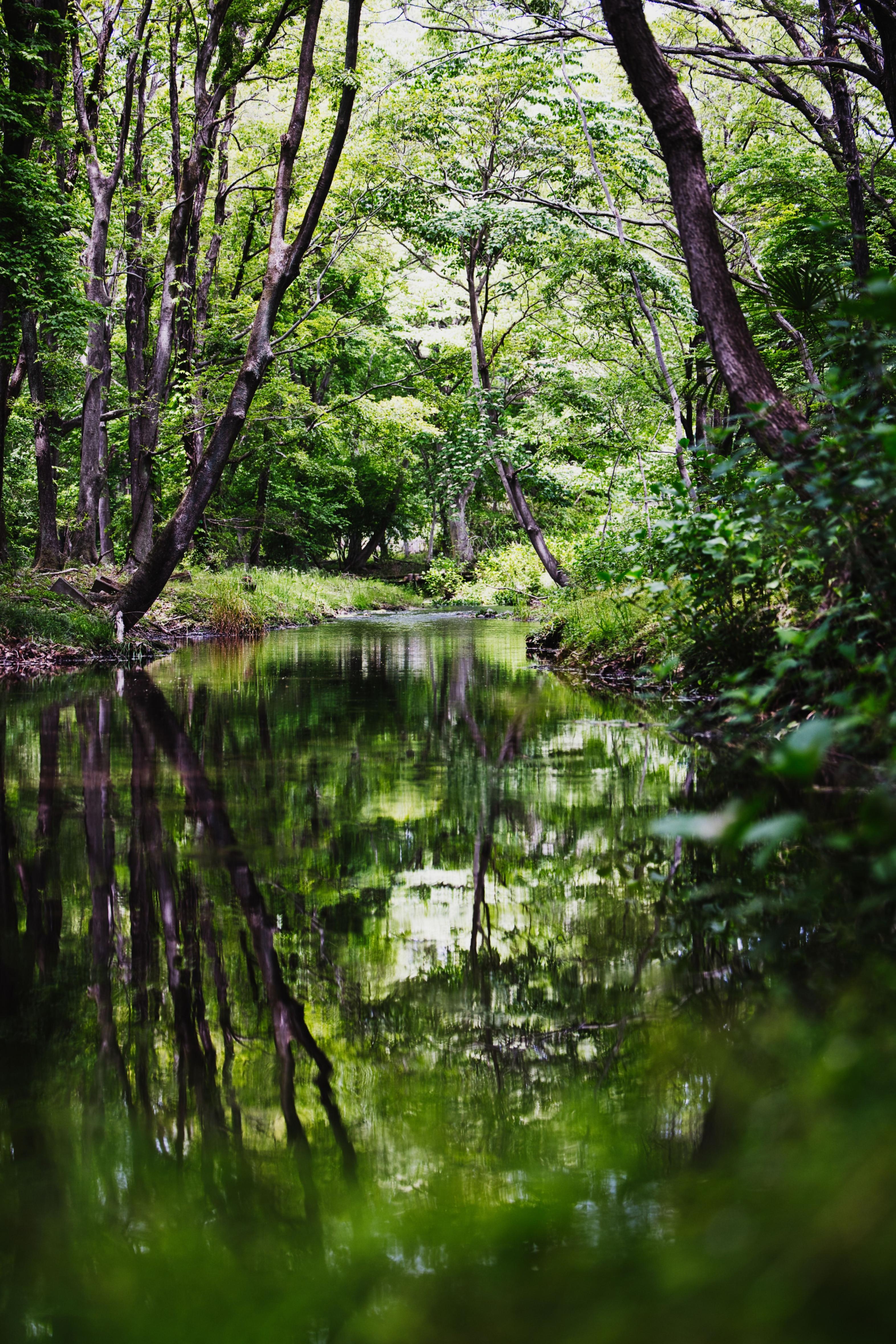 準大賞(m.i)6_2 準大賞(m.i)6_2