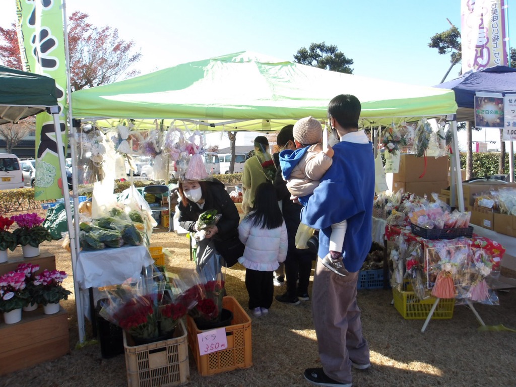 photo_20251208-052401