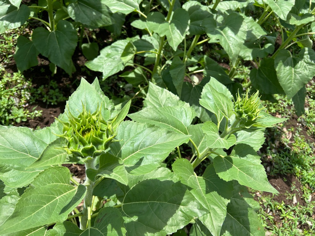 photo_20260814-011537_3